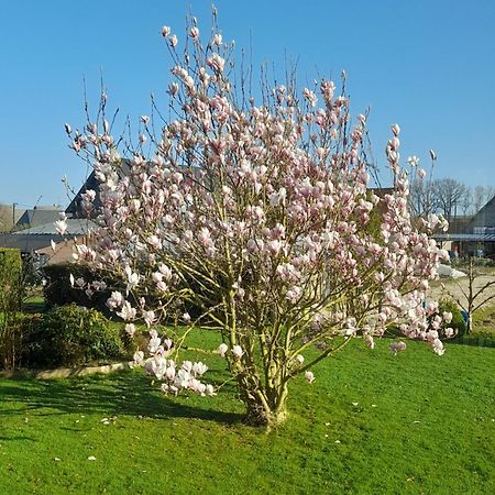 Apartamento L'Abri Des Ames Gerponville Exterior foto